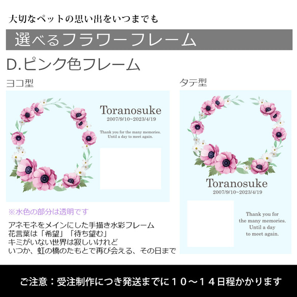 送料無料｜オーダーメイド-ペットメモリアル｜アクリルブロック 猫 犬 遺影 8枚目の画像