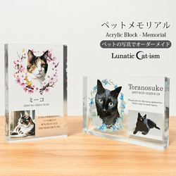 送料無料｜オーダーメイド-ペットメモリアル｜アクリルブロック 猫 犬 遺影 1枚目の画像