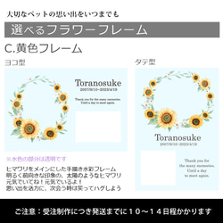 送料無料｜オーダーメイド-ペットメモリアル｜アクリルブロック 猫 犬 遺影 7枚目の画像