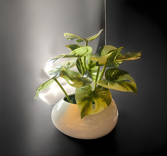 光触媒　人工観葉植物　ウォールグリーン　フェイクグリーン　たまご花器モンステラ 2枚目の画像