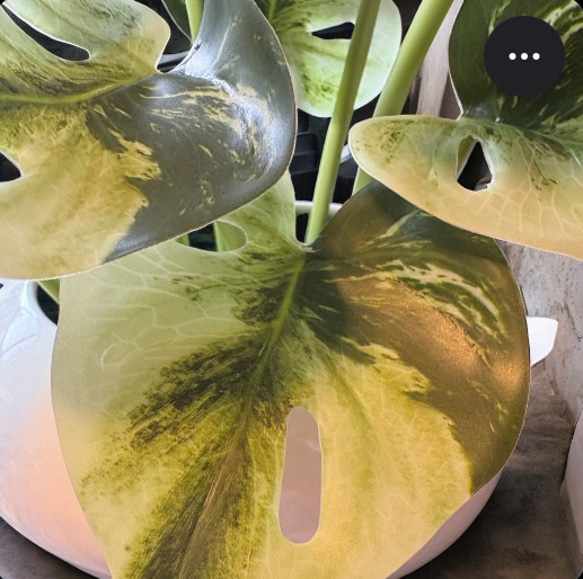 光触媒　人工観葉植物　ウォールグリーン　フェイクグリーン　たまご花器モンステラ 5枚目の画像