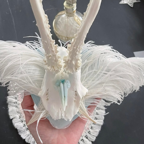 hunting trophy 
