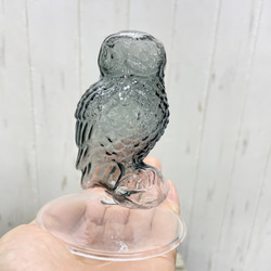 フクロウのガラスベース 1輪挿し  ナチュラル可愛い花器 13枚目の画像