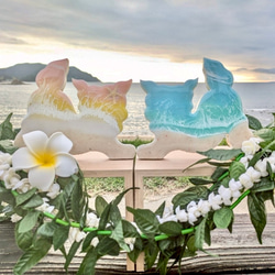 b017f367c7ea30ad305eb3ba05d480