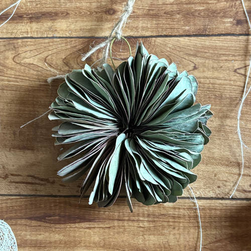 透かしほおずき ユーカリミルフィーユリース トウガラシ 枝の