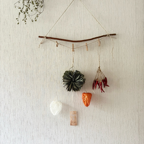 透かしほおずき ユーカリミルフィーユリース トウガラシ 枝の  