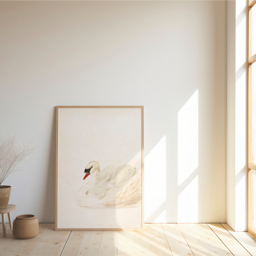 [PSTR Studio] アートポスター 白鳥III 50×50cm PSTR studio | Premium Fine Art Prints & Framed Canvas