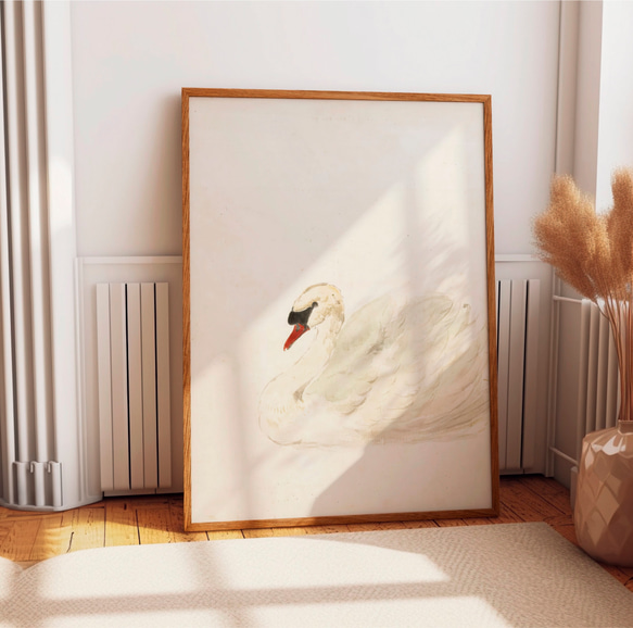 白鳥 アートポスター アンティーク 水彩画 インテリア 動物画 鳥 ナチュラル ベージュ クリーム色 北欧 エレガント　 5枚目の画像