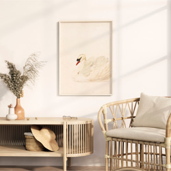 白鳥 アートポスター アンティーク 水彩画 インテリア 動物画 鳥 ナチュラル ベージュ クリーム色 北欧 エレガント　 4枚目の画像