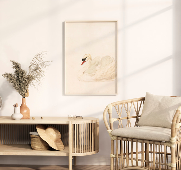 白鳥 アートポスター アンティーク 水彩画 インテリア 動物画 鳥 ナチュラル ベージュ クリーム色 北欧 エレガント　 4枚目の画像