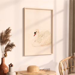 白鳥 アートポスター アンティーク 水彩画 インテリア 動物画 鳥 ナチュラル ベージュ クリーム色 北欧 エレガント　 10枚目の画像