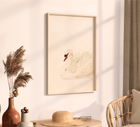 白鳥 アートポスター アンティーク 水彩画 インテリア 動物画 鳥 ナチュラル ベージュ クリーム色 北欧 エレガント　 10枚目の画像