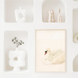 白鳥 アートポスター アンティーク 水彩画 インテリア 動物画 鳥 ナチュラル ベージュ クリーム色 北欧 エレガント　 8枚目の画像