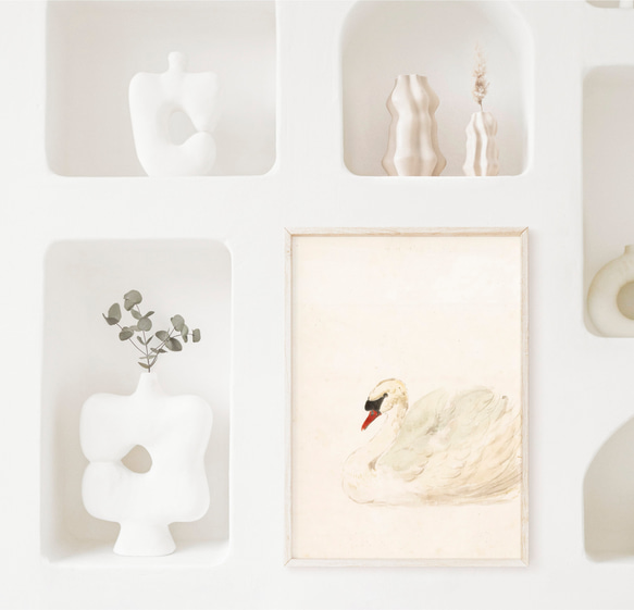 白鳥 アートポスター アンティーク 水彩画 インテリア 動物画 鳥 ナチュラル ベージュ クリーム色 北欧 エレガント　 8枚目の画像