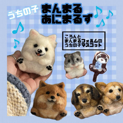 まんまるあにまるず　うちの子オーダー　羊毛フェルト　ペット まんまるあにまるず うちの子オーダー ペット マスコット 羊毛フェルト