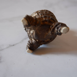 ミニ樹土鬼香立て3　塊根植物　多肉植物　盆栽　植木鉢　作家鉢　ミニチュア　沖縄 7枚目の画像