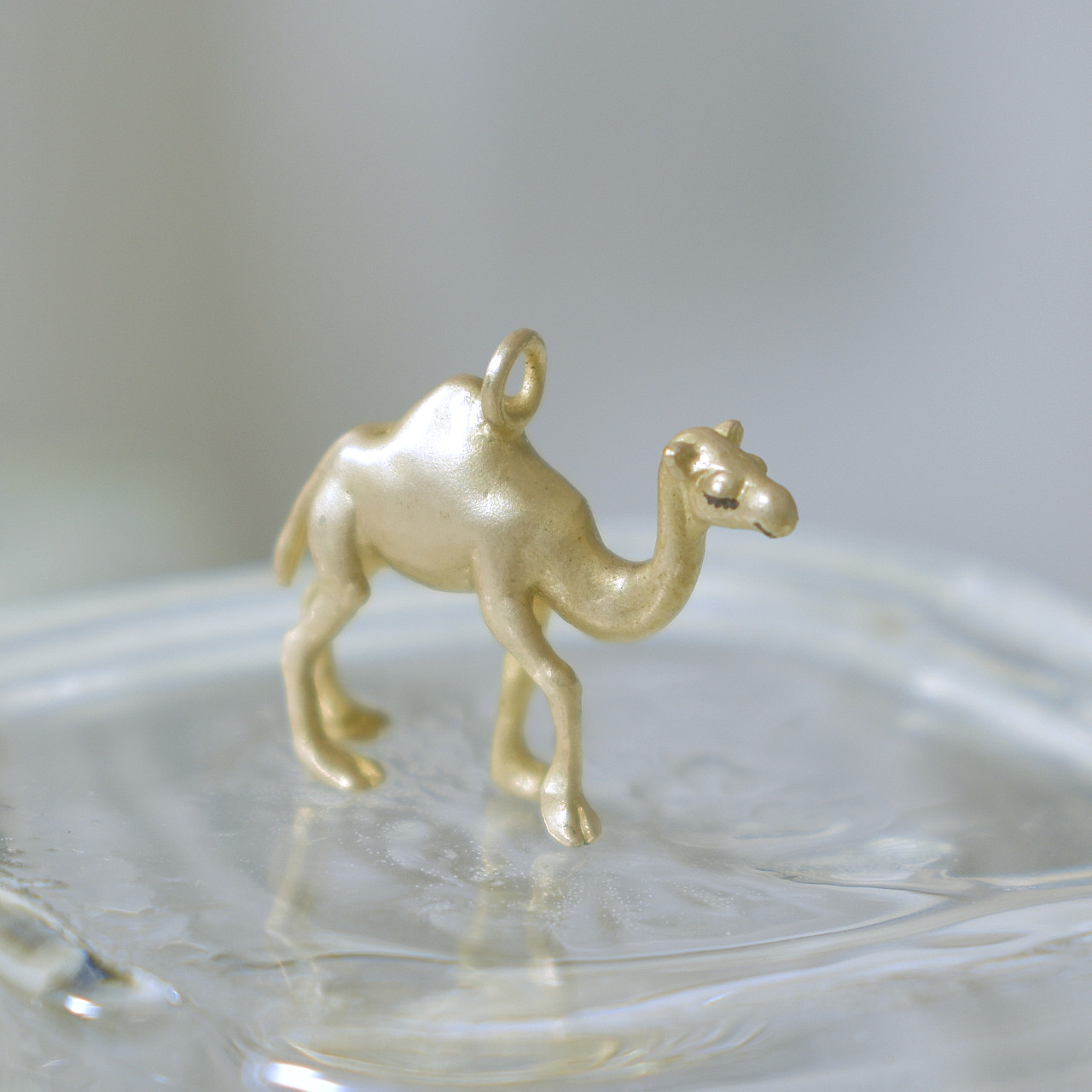 ヒトコブラクダ　ネックレス・ピアス・リング