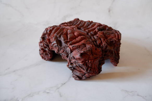 4.5号赤土裂紋四角爬虫類シェルター272　ウェット　陶器製　作家もの　沖縄 1枚目の画像