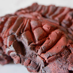 4.5号赤土裂紋四角爬虫類シェルター272　ウェット　陶器製　作家もの　沖縄 2枚目の画像