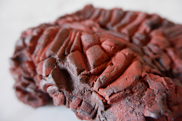 4.5号赤土裂紋四角爬虫類シェルター272　ウェット　陶器製　作家もの　沖縄 2枚目の画像