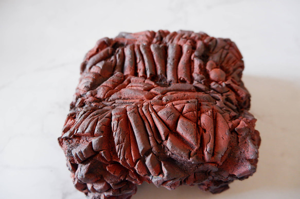 4.5号赤土裂紋四角爬虫類シェルター272　ウェット　陶器製　作家もの　沖縄 4枚目の画像