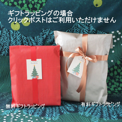 インド刺繍生地・ スマホショルダー・2way(ファー取り外し可能・ショルダー紐選択可)　ブラック 14枚目の画像