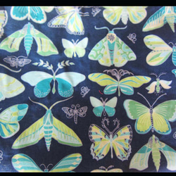 米国生地　蝶々とさなぎにの大人お洒落な巾着ポーチ　コスメ入れ　サニタリー入れ 5枚目の画像