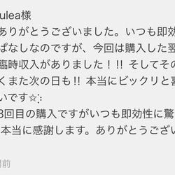 ＊未来を見通し、チャンスを逃さない！人生を豊かにする最強のお守り＊ 2枚目の画像