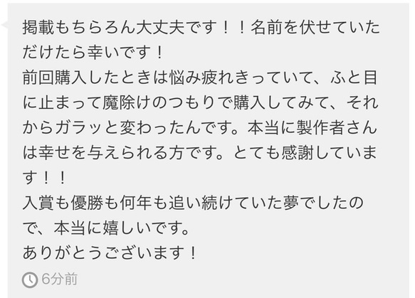 ＊未来を見通し、チャンスを逃さない！人生を豊かにする最強のお守り＊ 8枚目の画像