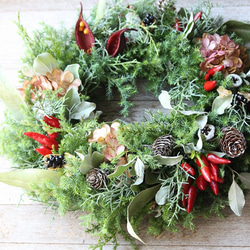 フライングツリー(green&red) /クリスマス　スワッグ　ドライフラワー フライングツリー(green&red) /クリスマス スワッグ ドライフラワー 木