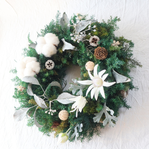 白いワタの実とユーカリのクリスマスリース プリザーブドフラワー