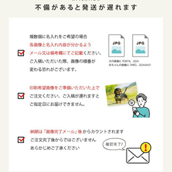 P40 写真入り メモリアル ブランケット (ひざ掛け 膝掛け ミニブランケット 写真 赤ちゃん フルカラー プリント 13枚目の画像