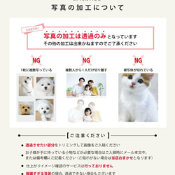 P40 写真入り メモリアル ブランケット (ひざ掛け 膝掛け ミニブランケット 写真 赤ちゃん フルカラー プリント 12枚目の画像