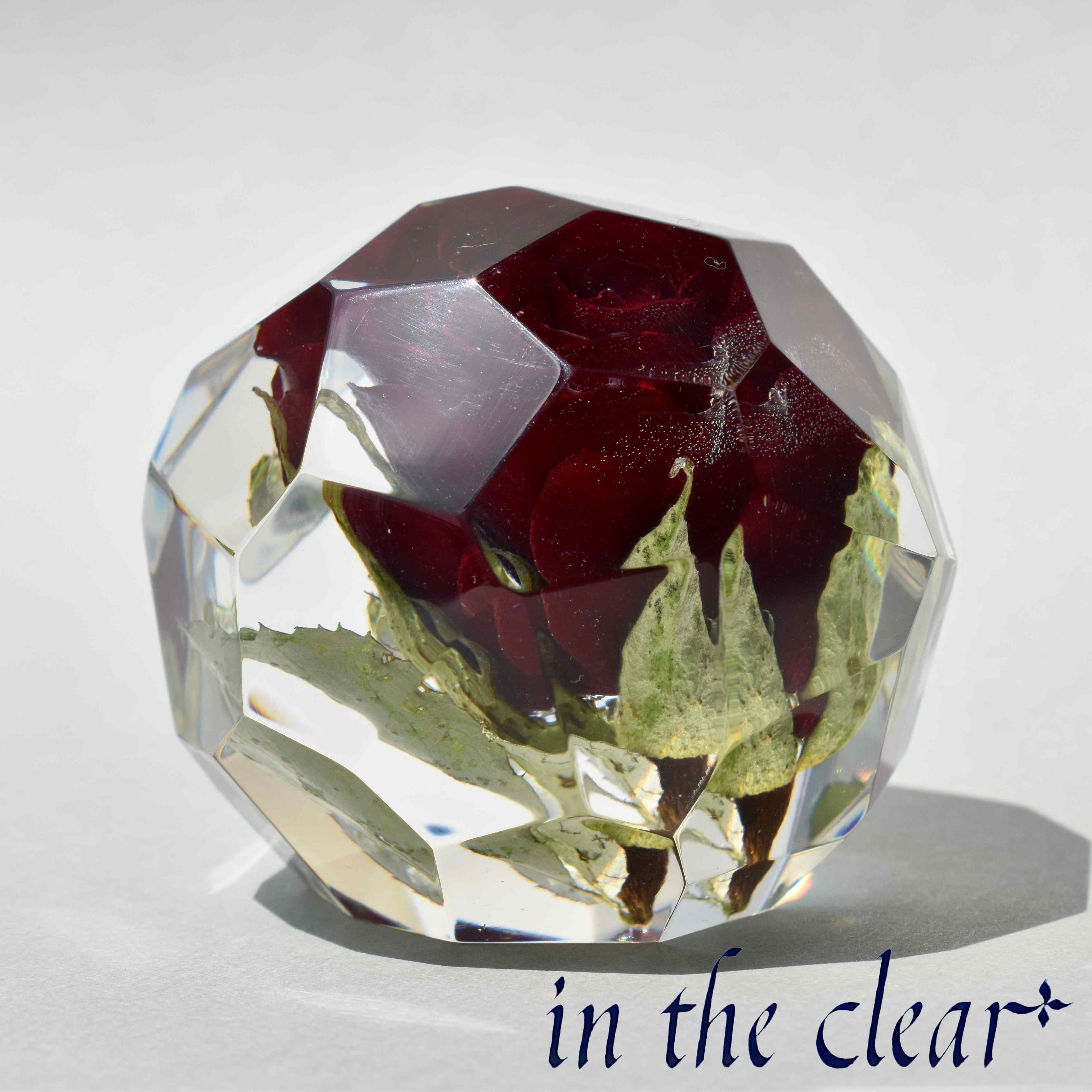 植物標本　薔薇　赤　5.5センチ　クリスタルカット