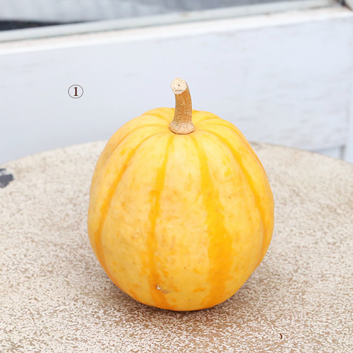 ハロウィン用 おもちゃ かぼちゃ 本物 パンプキン カボチャ 飾り 置物