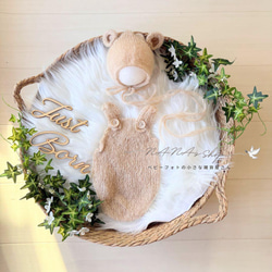 ニューボーンフォトセット★衣装（複数）★カゴ★ぬいぐるみなど Lかごセット【ブラウン馬】♪ニューボーンフォト撮影衣装 小道具 干支