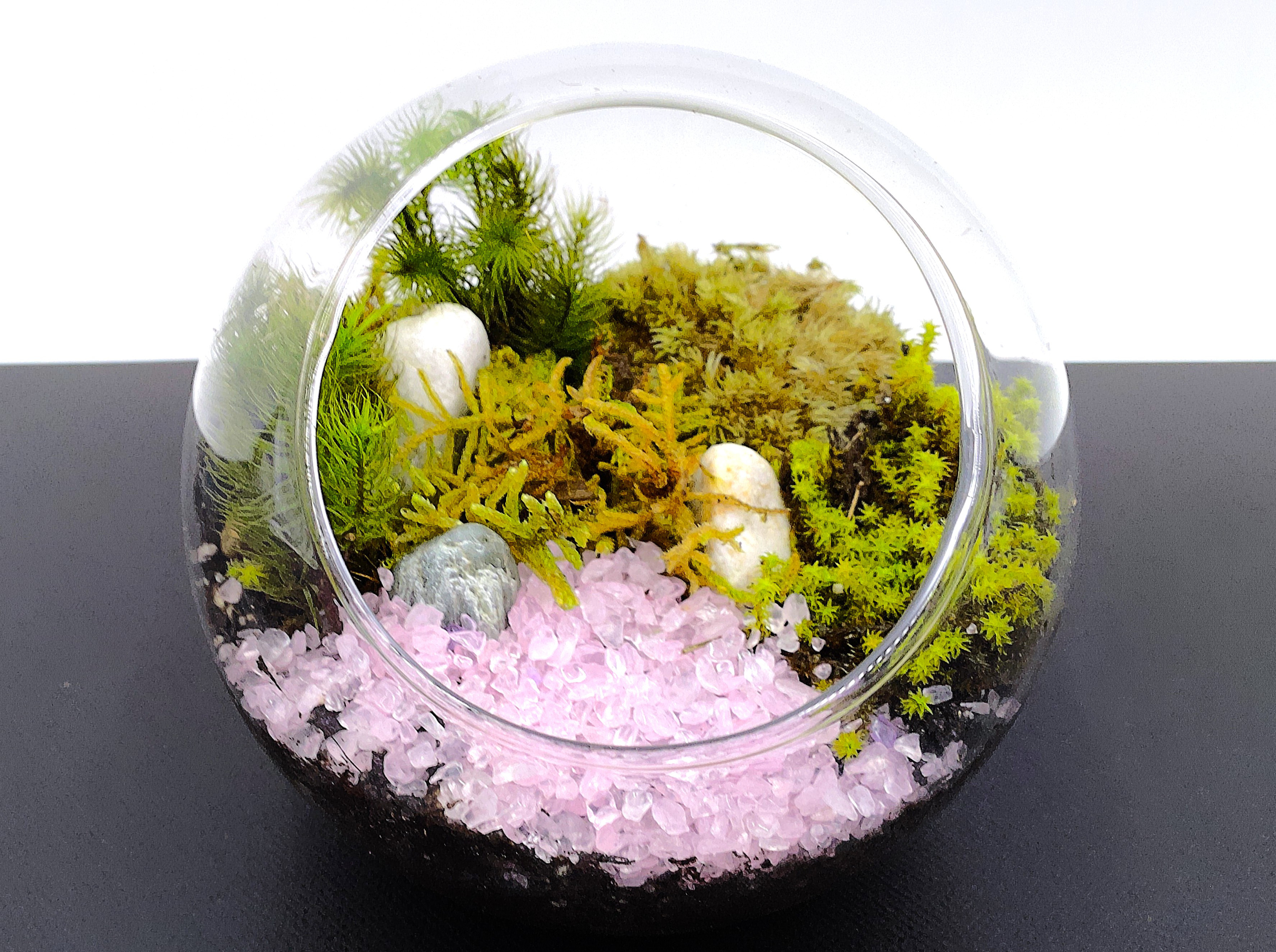【ギフト専門】苔テラリウム 10cm ＜草原と池＞タイプ（選べる天然石のさざれ石）