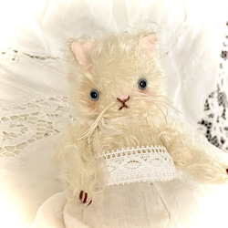 テディキャット　甘えたさんのふわふわ猫ちゃん　テディベア テディキャット ふわふわ猫ちゃん テディベア ぬいぐるみ ぽぷり