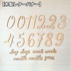 ブラウン馬×バスケット×かごセット♪ニューボーンフォト撮影　出産祝いギフト　月齢 14枚目の画像