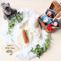 ブラウン馬×バスケット×かごセット♪ニューボーンフォト撮影　出産祝いギフト　月齢 20枚目の画像