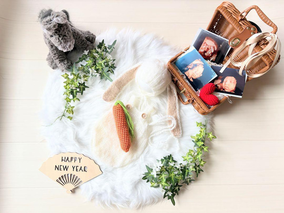 ブラウン馬×バスケット×かごセット♪ニューボーンフォト撮影　出産祝いギフト　月齢 20枚目の画像