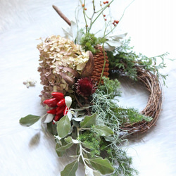 ドライフラワーになるグリーンのスワッグ ドライフラワー SERAM 通販