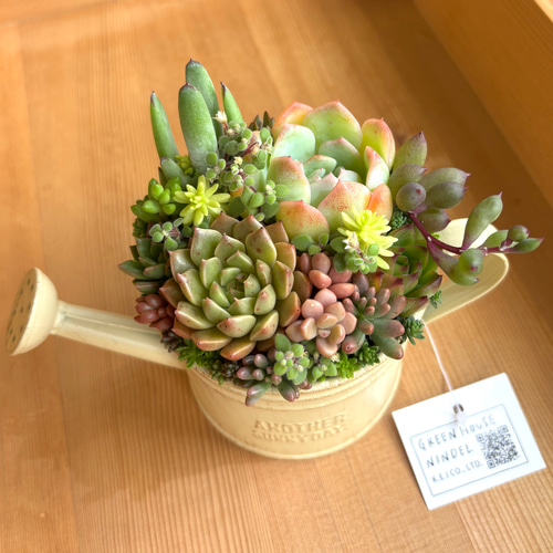 ★多肉植物　寄せ植え〜ブリキ　ハット寄せ〜★ 可愛い寄せ植え 多肉植物寄せ植え ブリキポット イエロー 取っ手付き