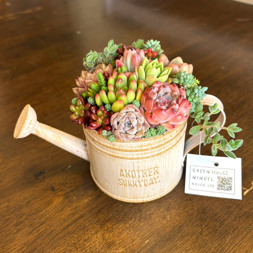可愛い寄せ植え 多肉植物寄せ植え ブリキポット サンドピンク 取っ手