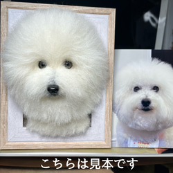 額縁半立体タイプ羊毛フェルトオーダー（こちらは見本です） 羊毛