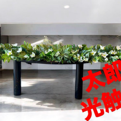 光触媒 人工観葉植物 ウォールグリーン フェイクグリーン
