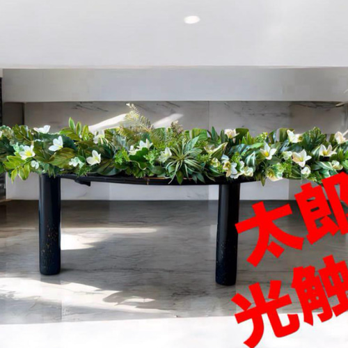 光触媒　人工観葉植物　ウォールグリーン　フェイクグリーン　壁掛け1204128 光触媒 人工観葉植物 ウォールグリーン フェイクグリーン 壁掛け