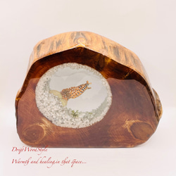 海の世界を閉じ込めた流木アート トラウツボ 水中ジオラマ 流木 レジン テラリウム アクアリウム インテリア N7 7枚目の画像