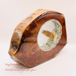 海の世界を閉じ込めた流木アート トラウツボ 水中ジオラマ 流木 レジン テラリウム アクアリウム インテリア N7 4枚目の画像