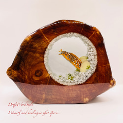 海の世界を閉じ込めた流木アート トラウツボ 水中ジオラマ 流木 レジン テラリウム アクアリウム インテリア N7 1枚目の画像